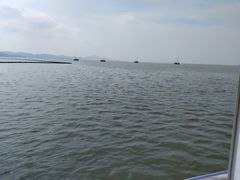 -贡湖湾湿地公园