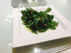 爽口冰菜-九十九顶毡房(阜石路店)