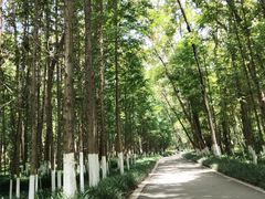 -桤木河湿地公园