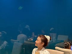 -海棠湾洲际-涛·海底餐厅·美人鱼·自助餐·海底隧道