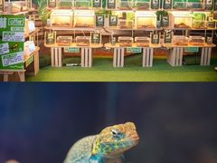 -正佳雨林生态植物园