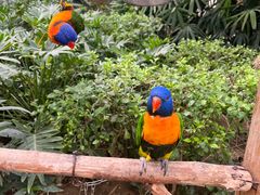 -南宫五洲植物乐园