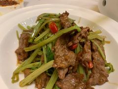 小炒牦牛肉-中发源·清真餐厅(南油店)