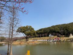 -无锡梅园公园
