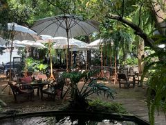 -Fern Forest Cafe
