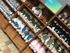 -济州岛泰迪熊博物馆