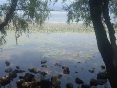 -西昌邛海湿地