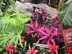 -北京植物园-展览温室