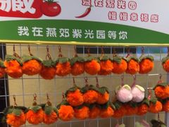 -紫光园(燕郊总店)