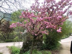 -西安祥峪森林公园
