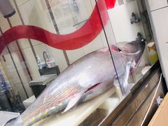 -大起水产回转寿司(道顿堀店)