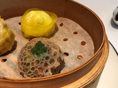 点心三拼-伯衡55·吉品轩(乌鲁木齐南路店)