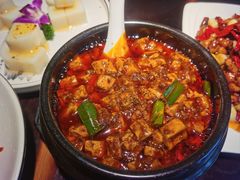 -陈麻婆豆腐总店