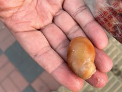 -洪湖里王姐大乌豆