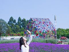 -紫颐香薰山谷景区
