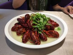 雪汁龙虾-新日月育才大酒店-中餐厅(环城北路店)