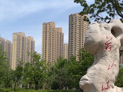 -曹州牡丹园