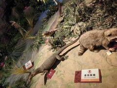 -陕西自然博物馆