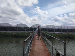 -马陆小张葡萄园农家乐