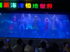 -蓬莱欧乐堡海洋极地世界
