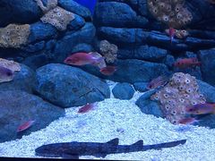 -成都浩海立方海洋公园