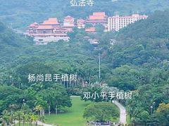-深圳仙湖植物园