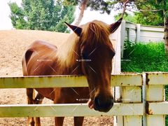 -酷鱼垂钓CLUB(朝阳区博大路店 )