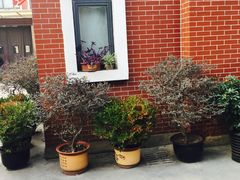 门面-怡百康养老院