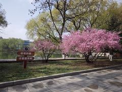 -渤海大学(松山校区)