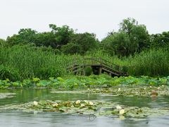 -西溪国家湿地公园