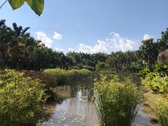 -中国科学院西双版纳热带植物园