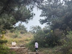 -青龙山风景区