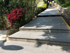 -仙岳公园