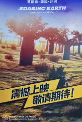 -飞览天下沉浸式飞行体验(北京旗舰店)