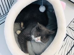 -白夜2D咖啡馆