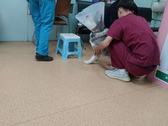-宠颐生中康贝怡动物医院