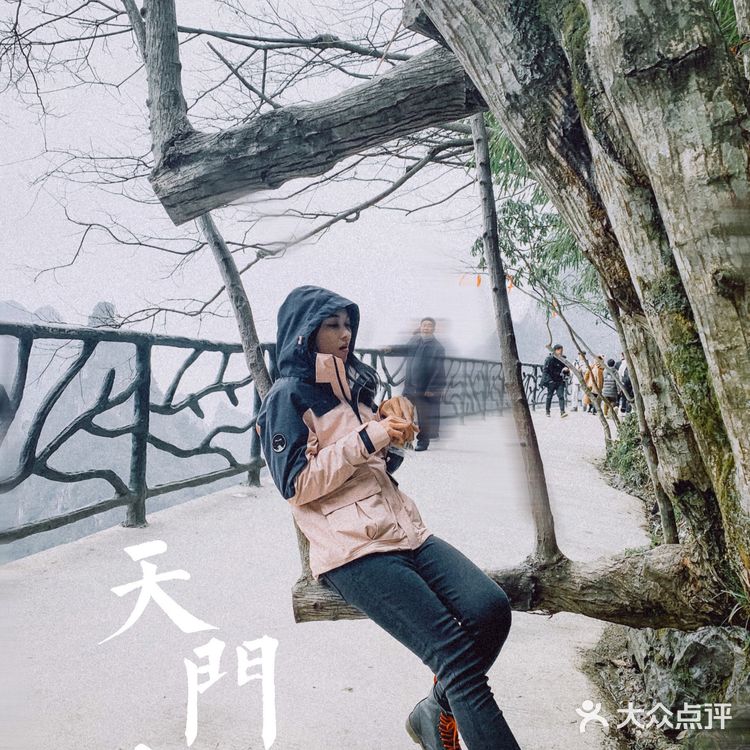 张家界天门山冬季游玩攻略|会下雪吗？