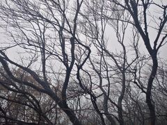 -神农山景区