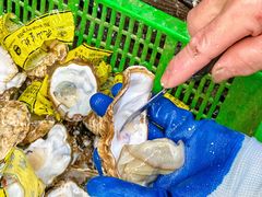 -潮三爷砂锅焗海鲜·生腌·海鲜粥(朝晖店)