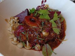 牛膝骨-Atto Primo