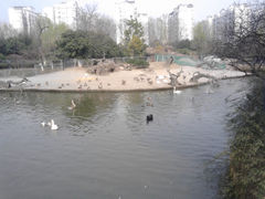 -荆川公园