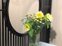 -汤去三面