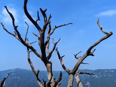 -神农山景区