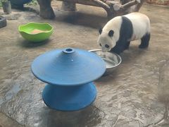 -石家庄市动物园