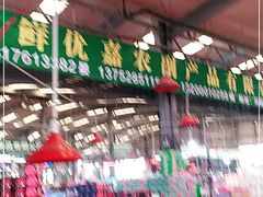 -双福水果批发市场