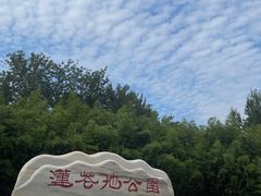 -莲花池公园