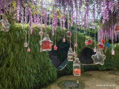 -花之城