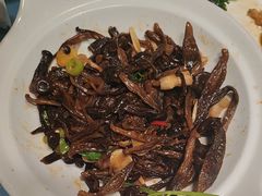 -大连湾旭日·家宴·海肠捞饭(马栏广场店)