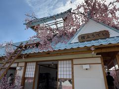 -Blue Concept Cafe&Farm·關於藍