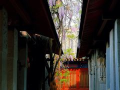 -北京国子监胡同
